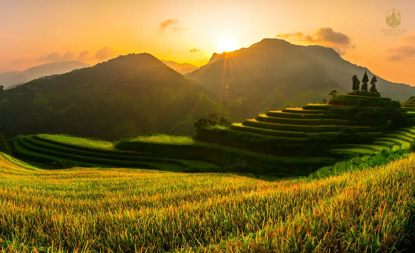 Hoang Su Phi Trekking Tour: 5-Day Rice Terrace & Ethnic Culture Adventure